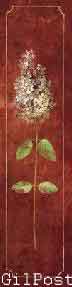 פרח בבורדו  3רומנטי עיצוב מודרני מינמליסטי טבע גבעול רקע אדום